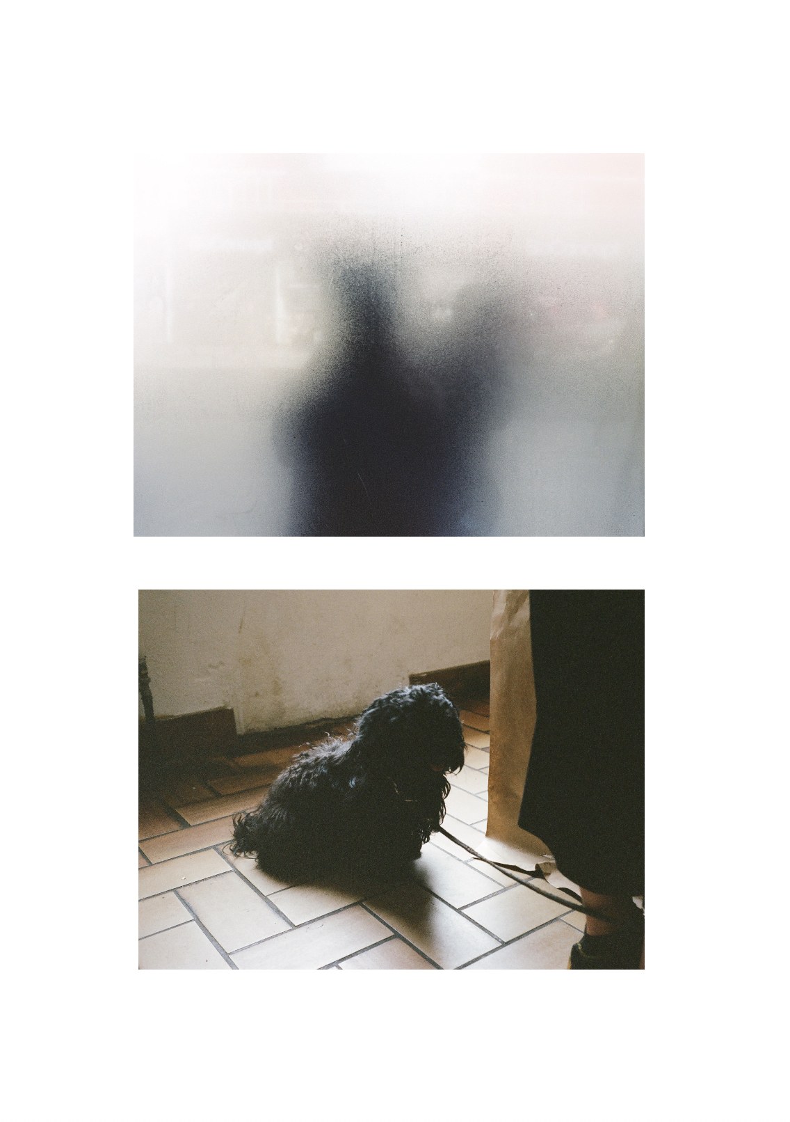 Collage C